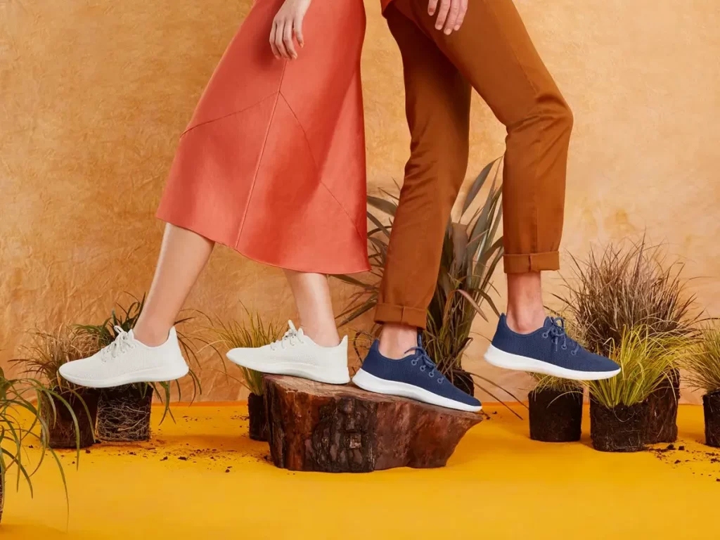 Allbirds Shoes